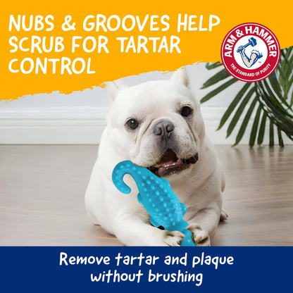 Arm & Hammer FFP8433 Nubbies Dental Toys, Blue