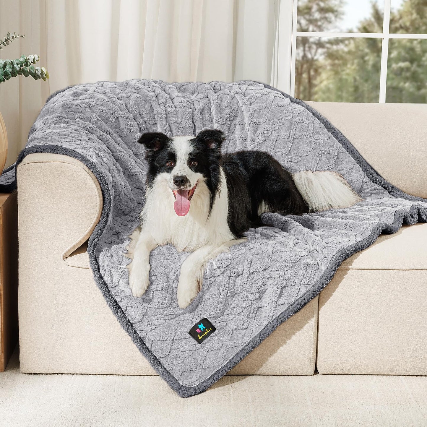 Waterproof Sherpa Pet Blanket for Furniture Protection