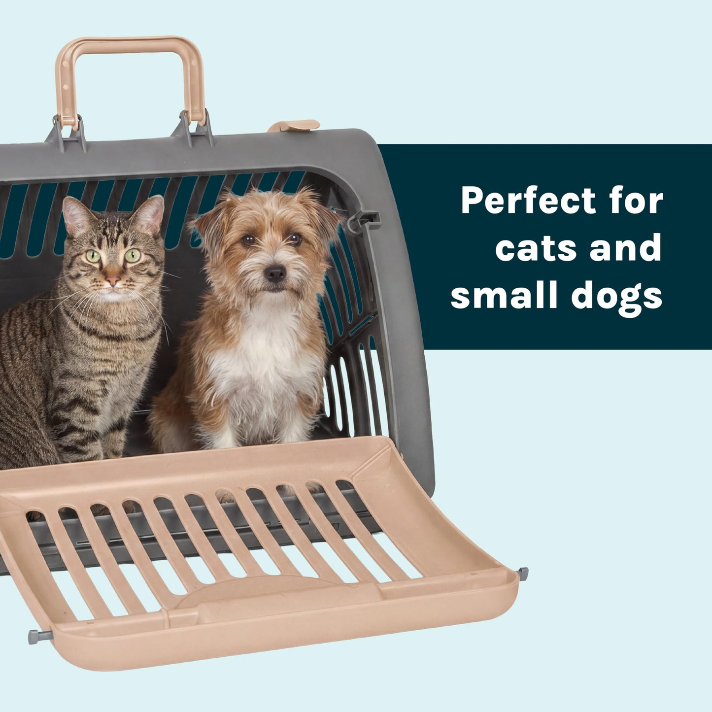 Foldable Hard Shell Cat Travel Carrier