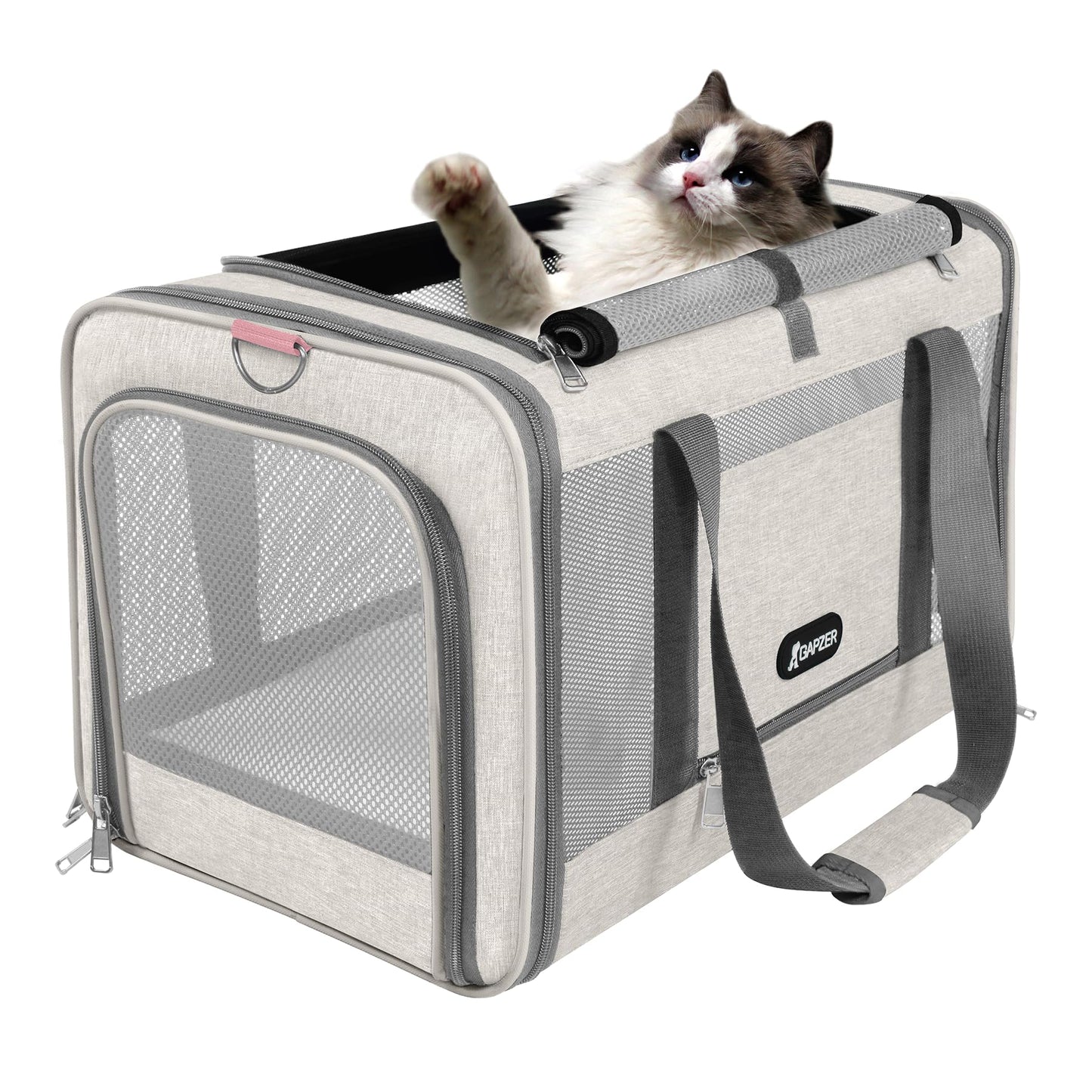 Top-Load Soft Pet Carrier with Ventilated Mesh