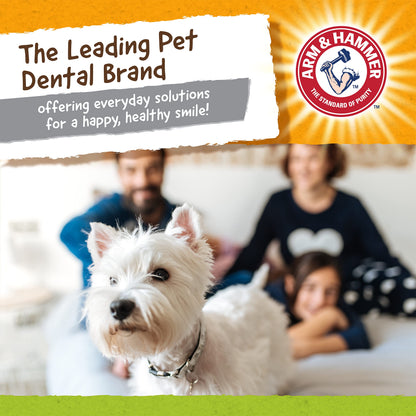Peanut Butter Dental Chew Toy for Dogs