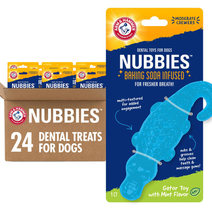 Arm & Hammer FFP8433 Nubbies Dental Toys, Blue