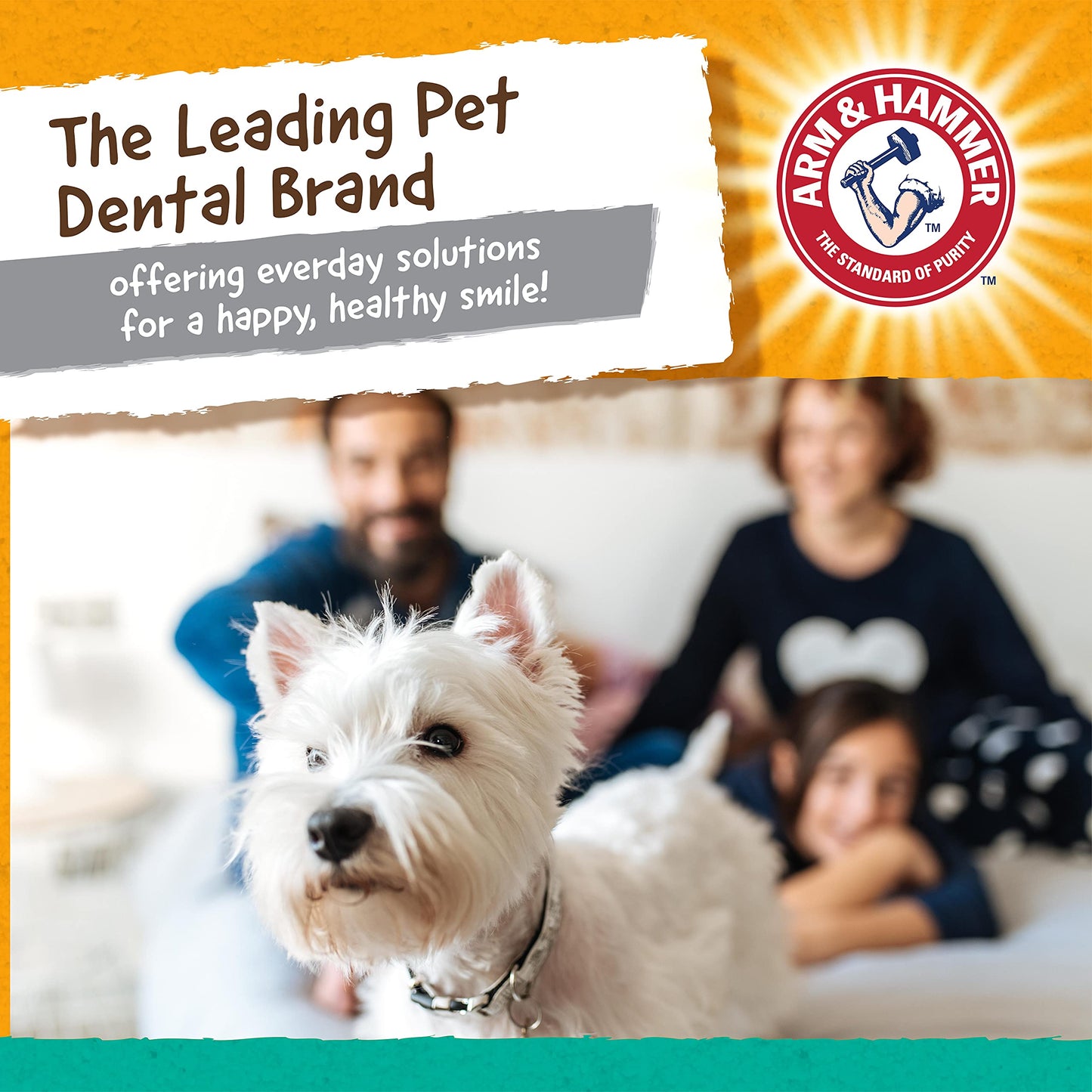Durable Dental Chew Toy for Small Dogs