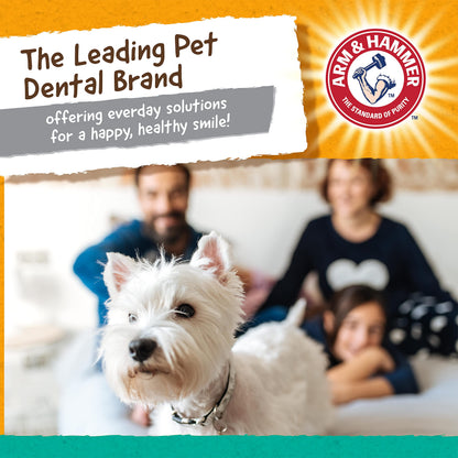 Durable Dental Chew Toy for Small Dogs