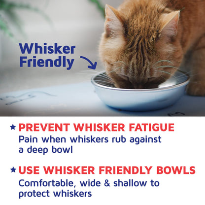 Stainless Steel Pet Bowls for Food and Water Set
