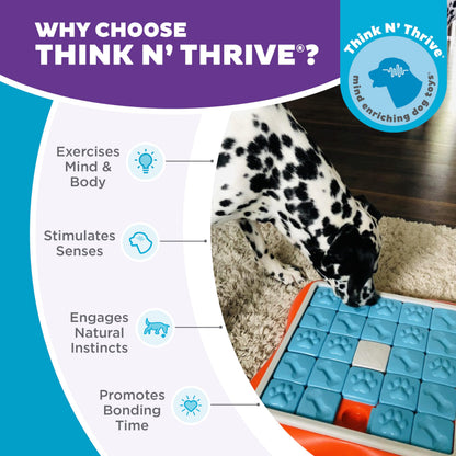 Interactive Treat Puzzle Toy for Mental Enrichment