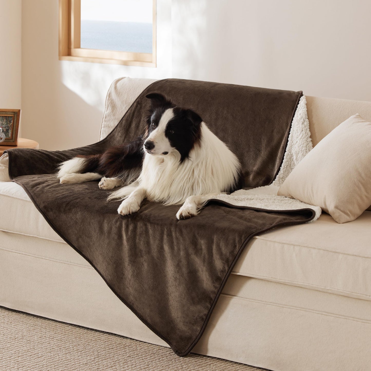 Waterproof Reversible Pet Blanket for Couch Protection