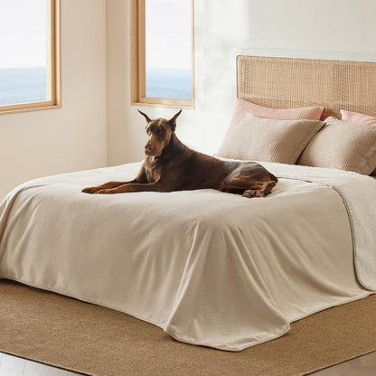 Waterproof Reversible Pet Blanket for Couch Protection