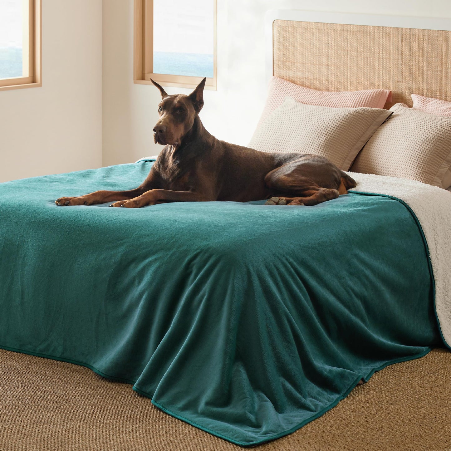 Waterproof Reversible Pet Blanket for Couch Protection