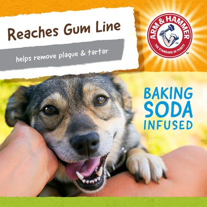 Peanut Butter Dental Chew Toy for Dogs