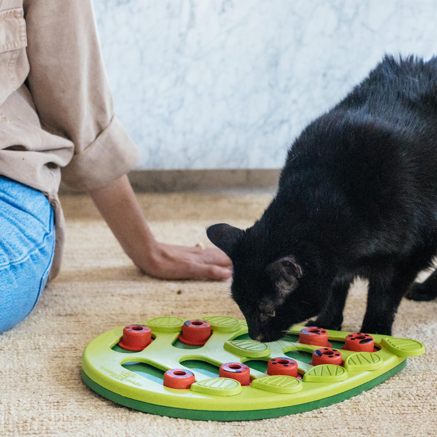 Interactive Cat Treat Puzzle Toy