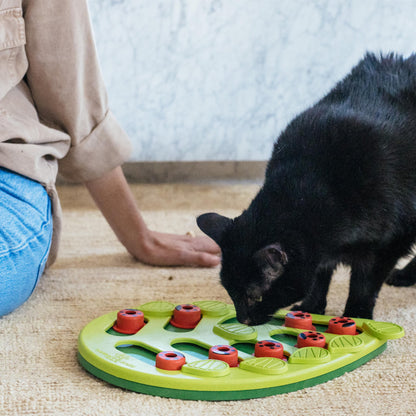 Interactive Cat Treat Puzzle Toy