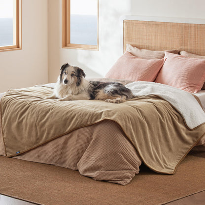 Waterproof Reversible Pet Blanket for Couch Protection