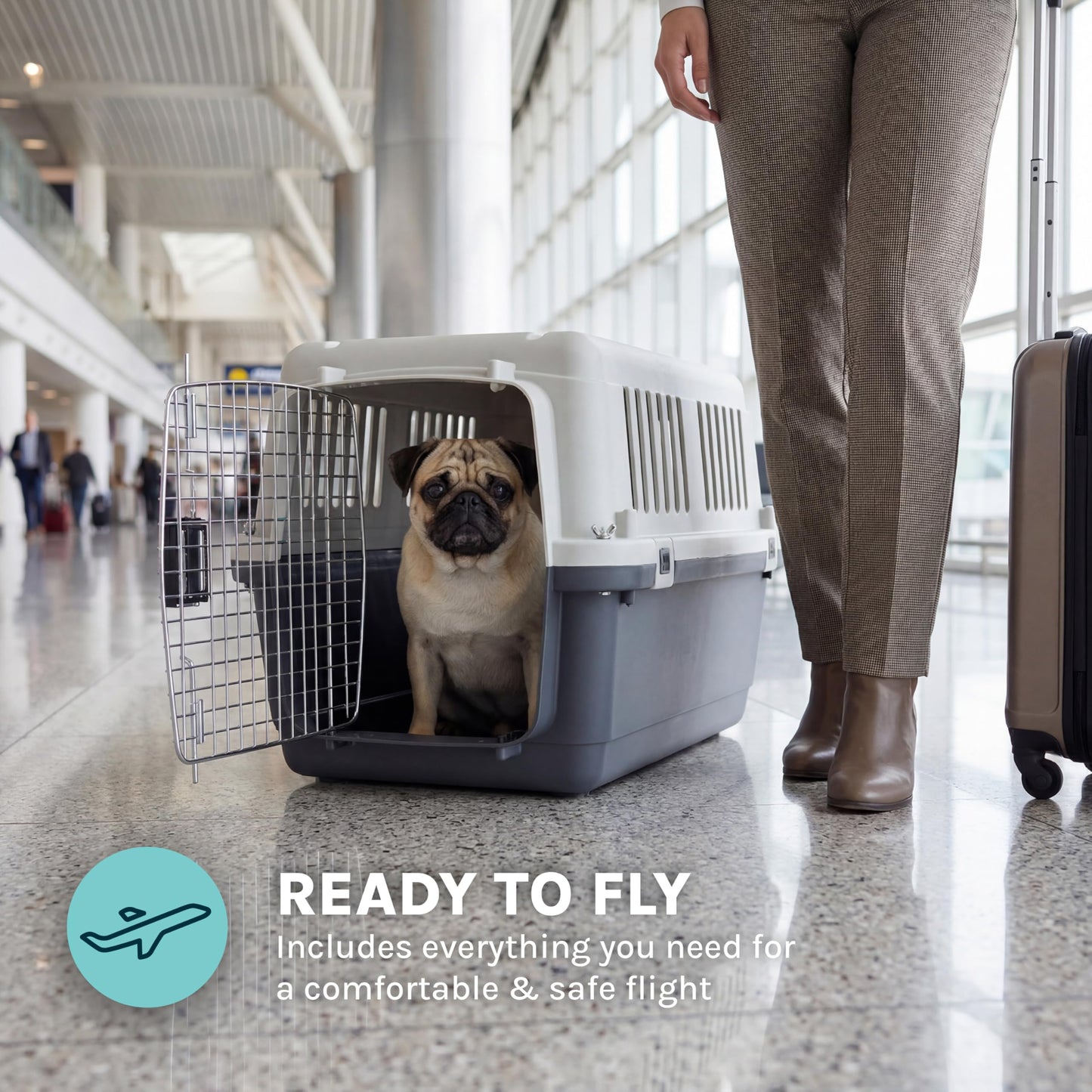 Airline-Approved Hard Shell Pet Travel Kennel