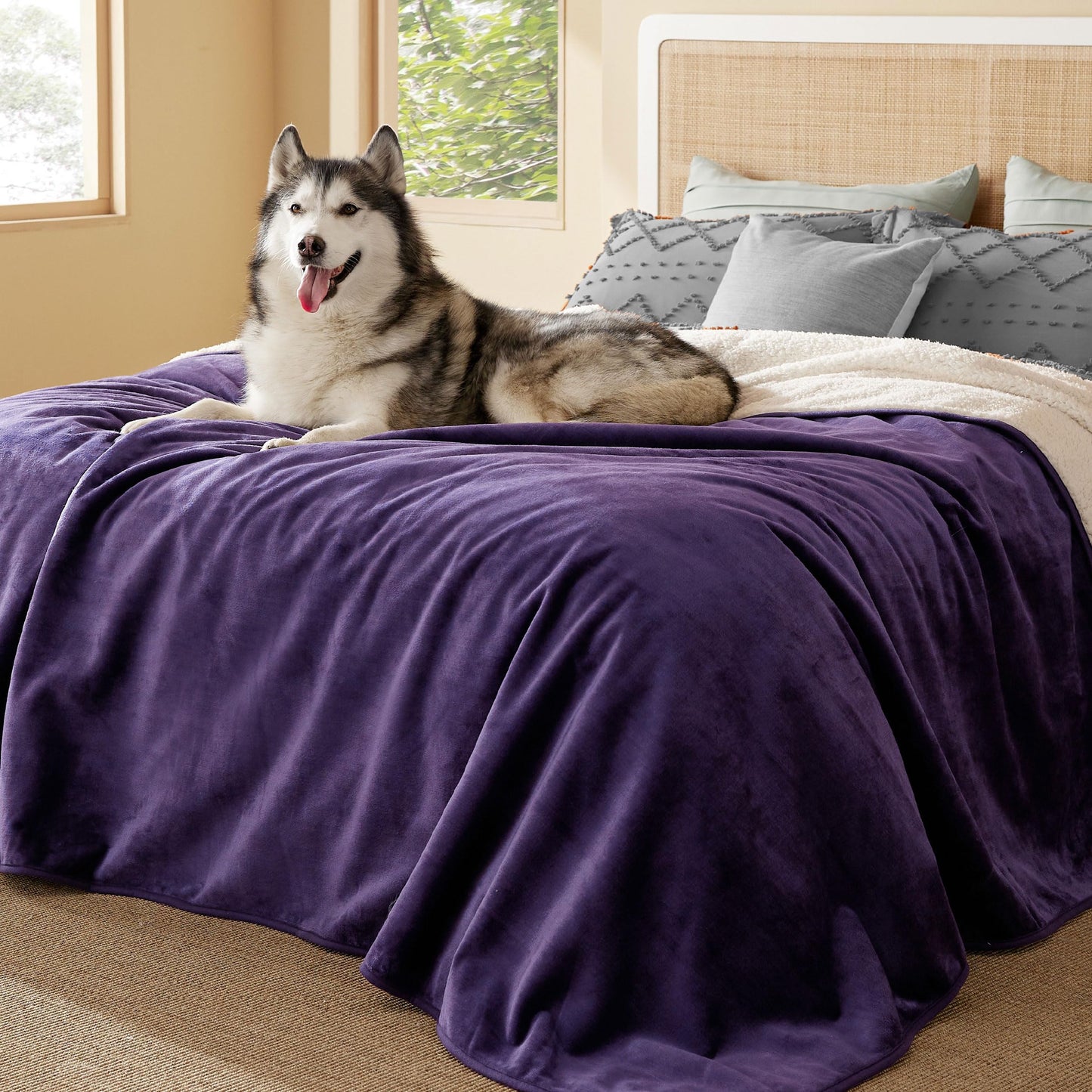 Waterproof Reversible Pet Blanket for Couch Protection