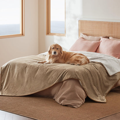 Waterproof Reversible Pet Blanket for Couch Protection