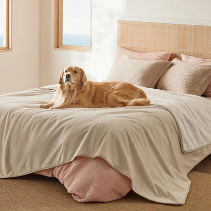Waterproof Reversible Pet Blanket for Couch Protection