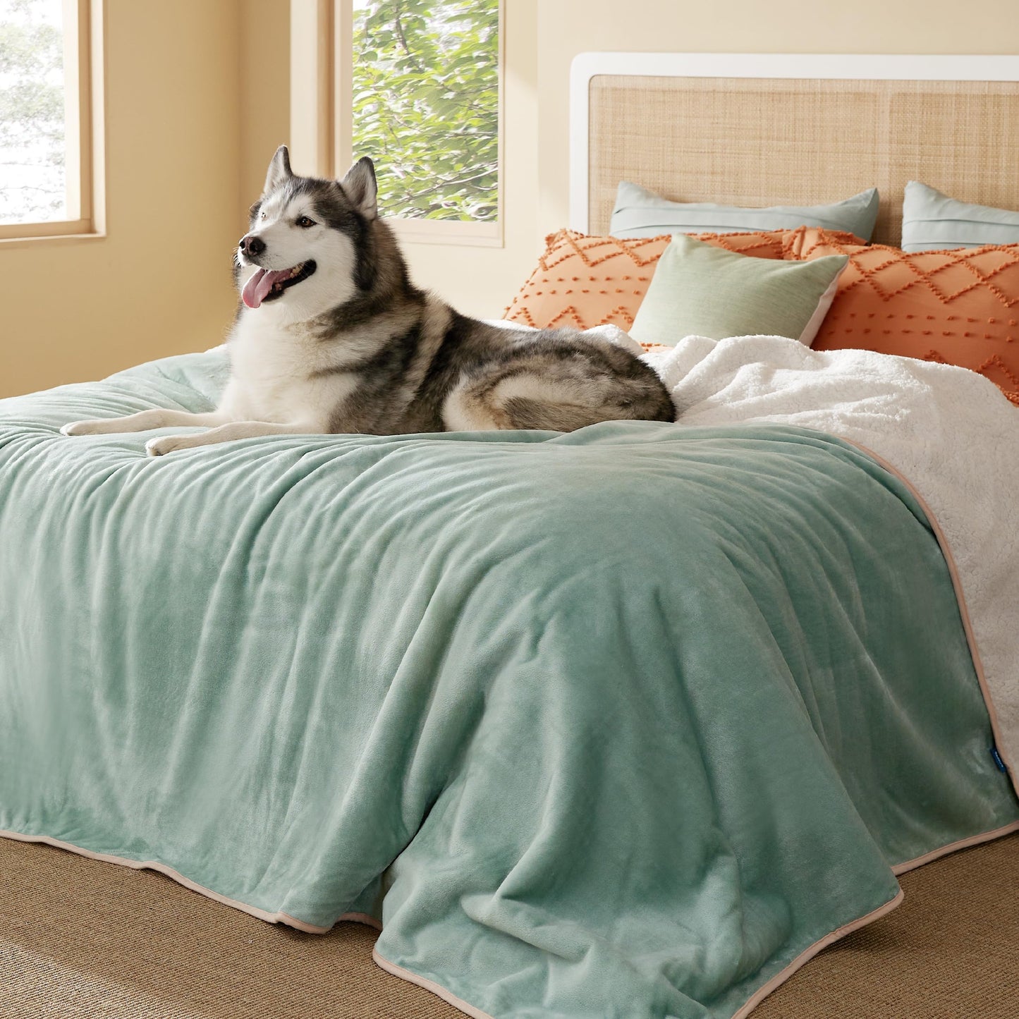 Waterproof Reversible Pet Blanket for Couch Protection