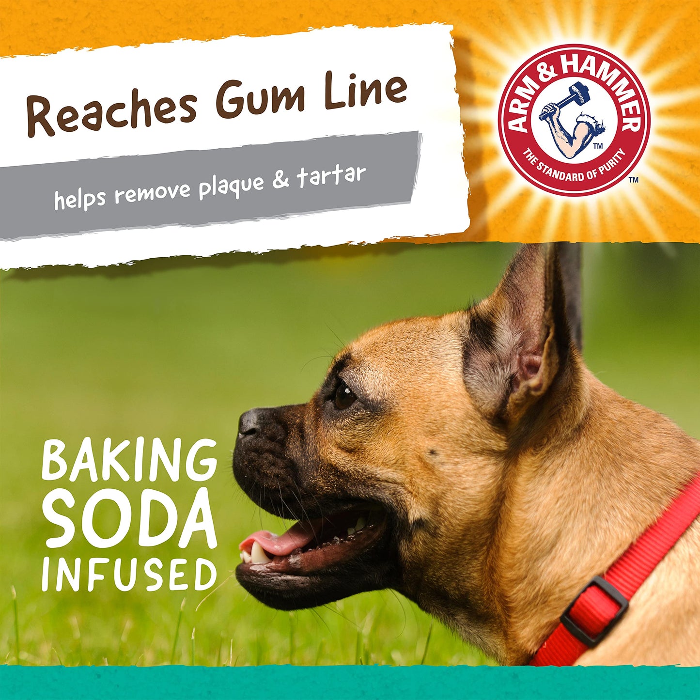 Durable Dental Chew Toy for Small Dogs