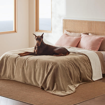 Waterproof Reversible Pet Blanket for Couch Protection